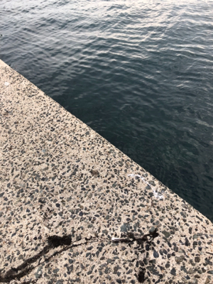 エギングちょい遠征