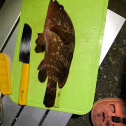 壱岐島釣行最終日