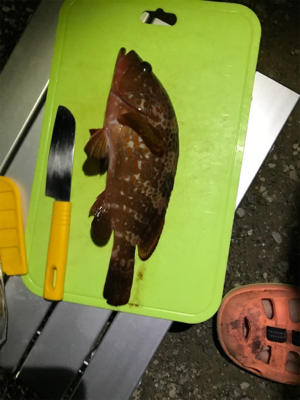 壱岐島釣行最終日