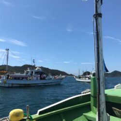 孝洋丸で落とし込み