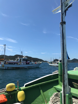 孝洋丸で落とし込み