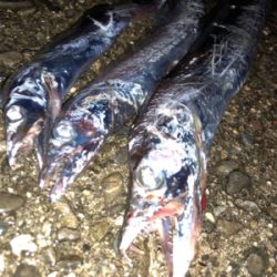 下手な太刀狩り