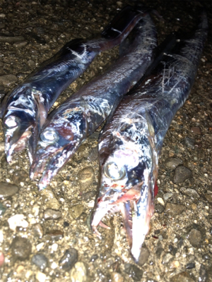 下手な太刀狩り