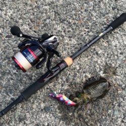 ちゃいちー新子イカ