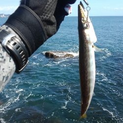 ライトショアジギングになってもた(泣)