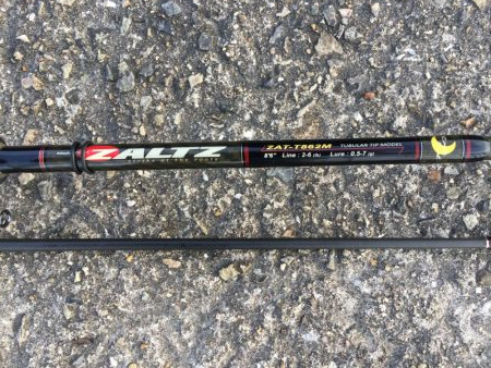 ケンサキちゃんどこに行ったの？