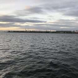 今日は、厳しい。