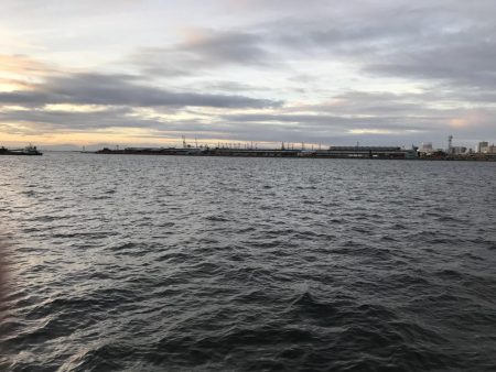 今日は、厳しい。