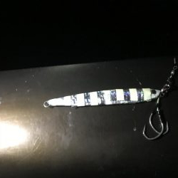 鯖さんこんばんはー