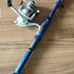 ジグ のち エサ 時々 ガシラ