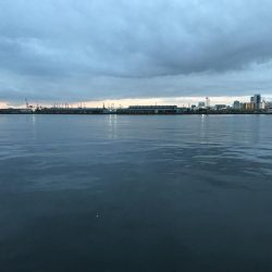 今季、初のタチウオゲット！