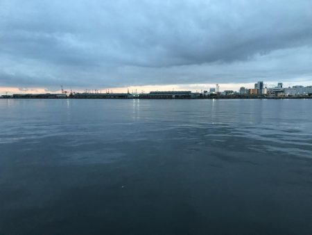 今季、初のタチウオゲット！