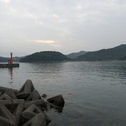 和歌山夏イカ！