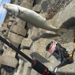 1年ぶりのイダ釣り