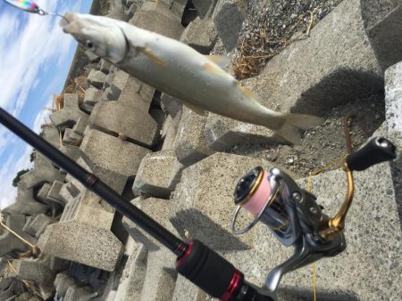 1年ぶりのイダ釣り