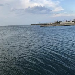 今日もエギング