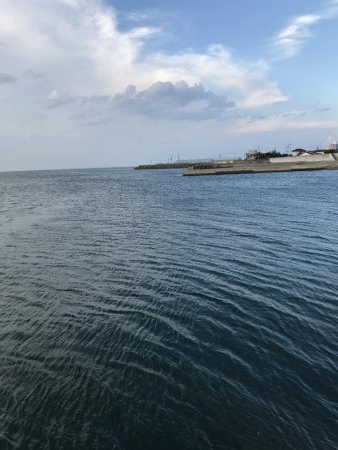 今日もエギング