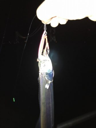 デカサバ求めて