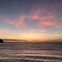 家族旅行の合間に