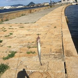 五目釣りエソ高活性笑