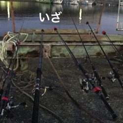 オフショアなのにショアジギロッド入魂