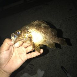 予報に反し爆風