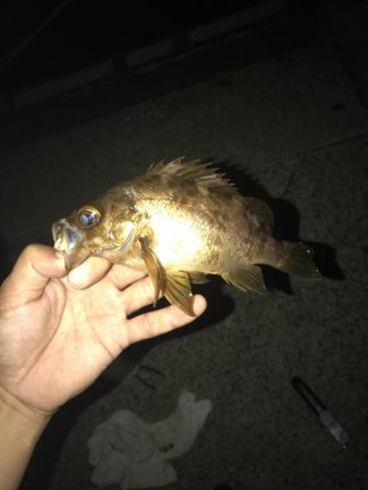 予報に反し爆風