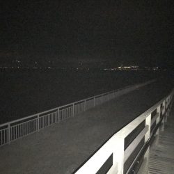 大サバ狙いも。