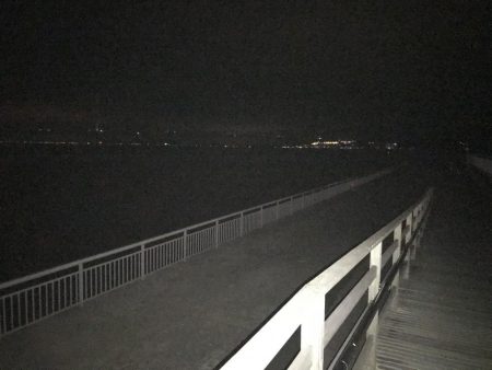 大サバ狙いも。