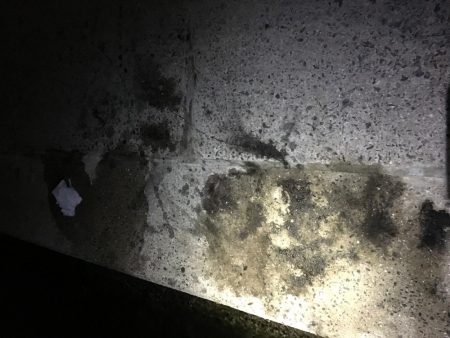 出張先でエギング