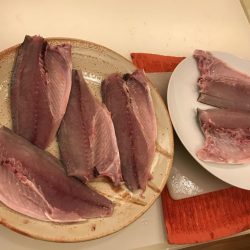 ショアジギング第2弾