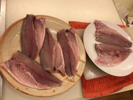 ショアジギング第2弾