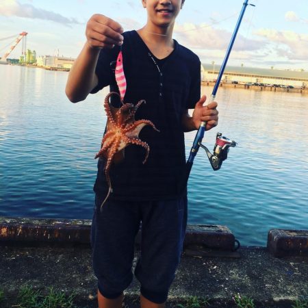 オクトパッシング