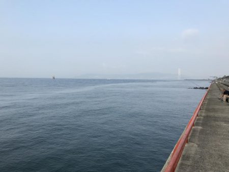 エサ取りが、多くて。