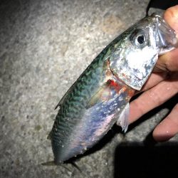 サバゲーおもろ。