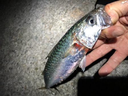 サバゲーおもろ。