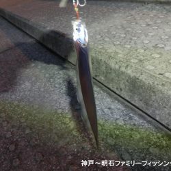 タチウオは情報通りの釣果です