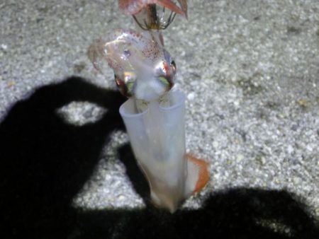 終始渋かったが何とか7杯