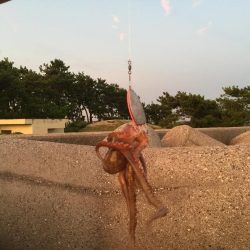 これからが楽しみだ！