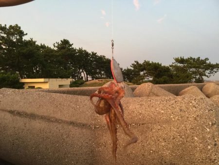 これからが楽しみだ！