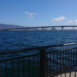 尺アジ、サゴシ