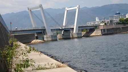 猛暑日は、日陰で