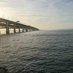 盆休み明けて初LSJ