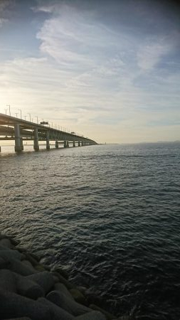 盆休み明けて初LSJ