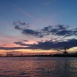 お盆の海遊館裏