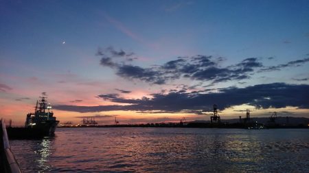 お盆の海遊館裏