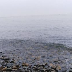 もっと釣れると思ったが…