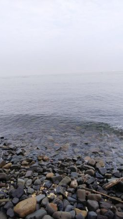 もっと釣れると思ったが…