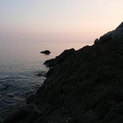 チニング&ロックフィッシュ