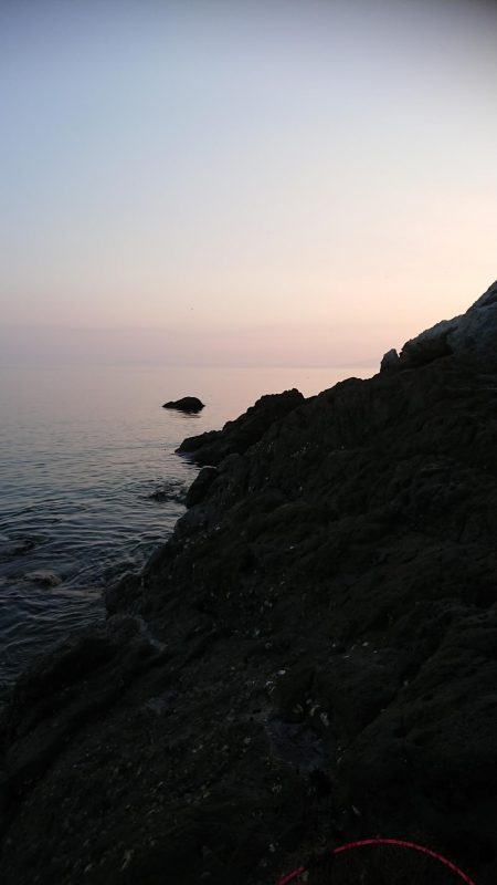 チニング&ロックフィッシュ